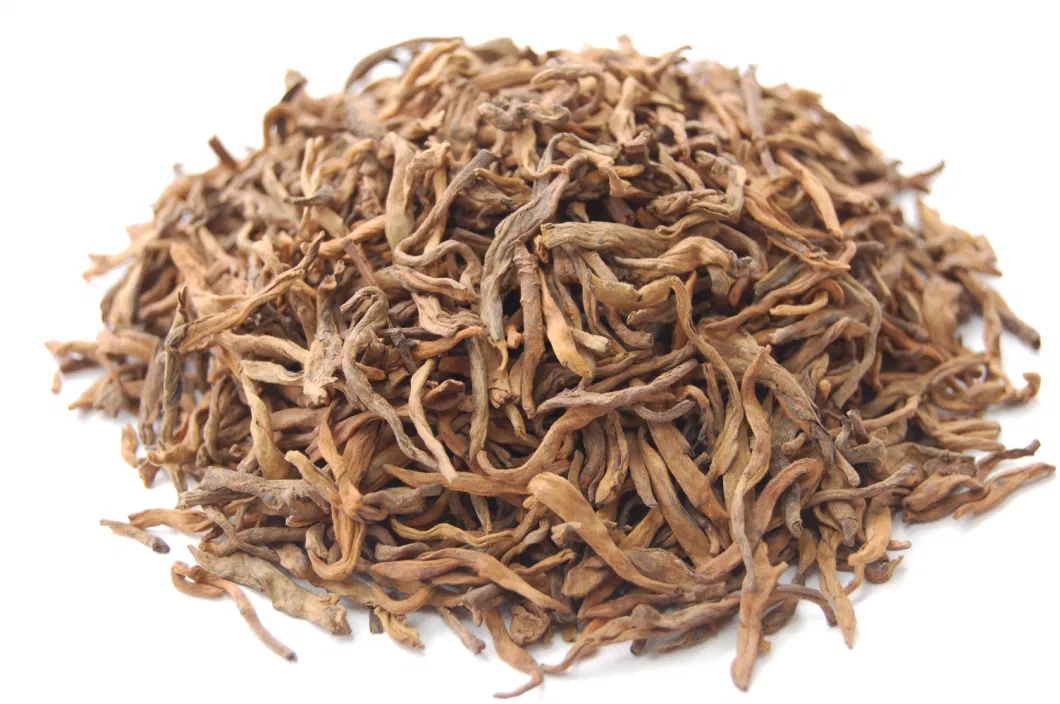 Health Tea Chinese Yunnan Golden Tips PU Erh Tea