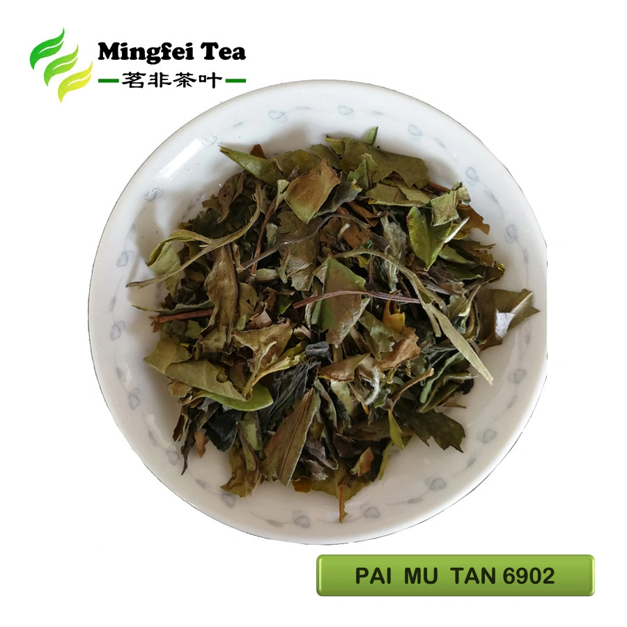 White Peony Tea White Tea Chinese Green tea Best Fermented Organic PAI MU TAN 6900/6902/6903 (Europe/America)